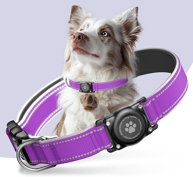 Airtag Dog Collar - 100% Waterproof Air tag Dog Collar Holder for Apple AirTag, Reflective, Soft Padded, Everlasting, GPS Dog Collar for Small Medium Large Dogs (Purple, XL)