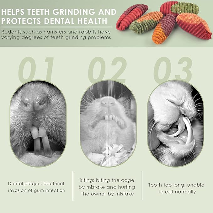 ERKOON Chinchilla Treats, Timothy Grass Chew Toys for Teeth for Rabbit Guinea Pig Gerbil Rat Dwarf Hamster (Treats)