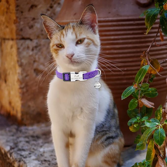 Personalized Reflective Nylon Cat Collar with Name Phone,Custom Engraved Buckle Cat Collar with Bell,Adjustable for Small Dogs Puppy Kitten (Purple,fit 7.5''-12.0'')