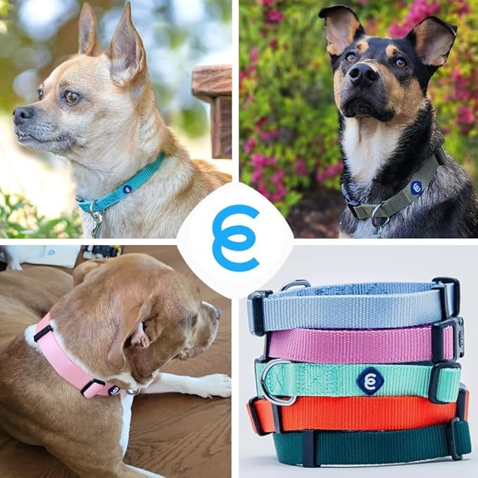 Blueberry Pet Essentials Large Flint Gray Adjustable Dog Collar for Large Dogs | Comfortable Nylon Stylish Collars for Large Dogs| Pet Safety & Quality