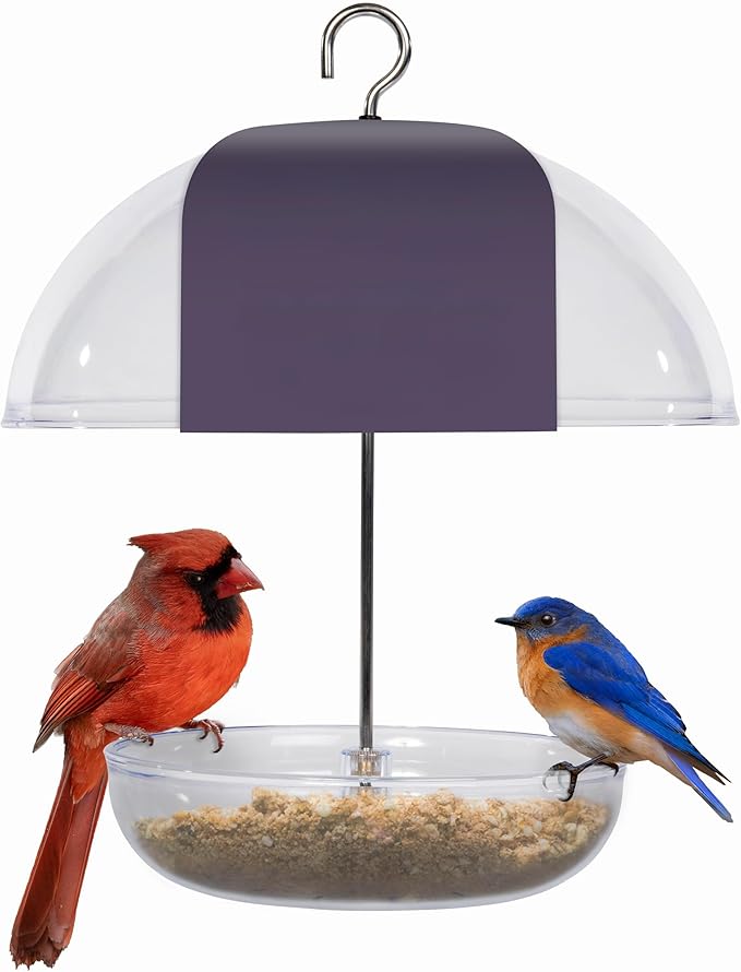 Mealworm Feeder - Jacobi Jayne® Pearl Feeder - Dome Bird Feeder for Small Birds - Bluebird Feeder for Mealworms - Platform Bird Feeder with Dome Cover - Covered Mealworm Feeder - Attracts Blue Birds