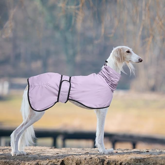Dog Raincoat with Reflective Bar, Rain/Water Resistant, Adjustable Vest - Dog Raincoats for Greyhounds, Lurchers and Whippets - Purple - L