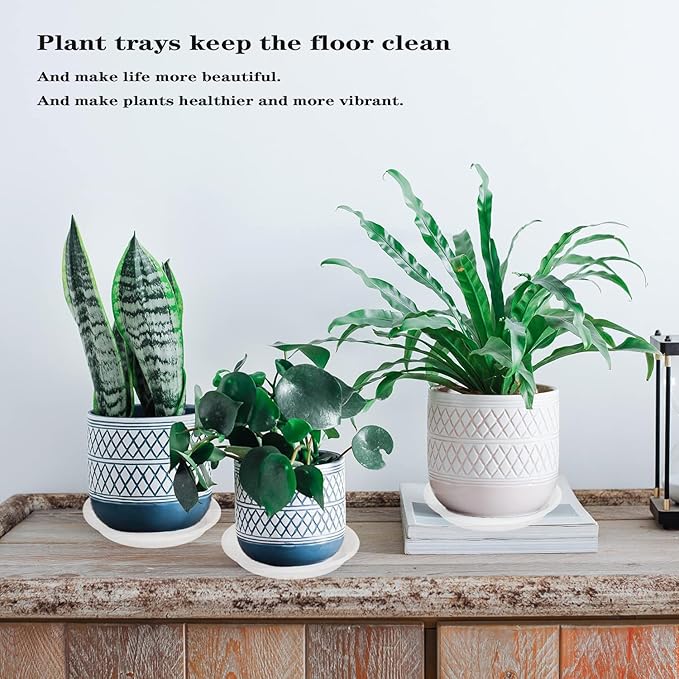 Plant Saucer - 2 Pack 22 Inch Extra Large Durable Plastic Plant Trays Clear, Extra-Deep 3.4" Plant Tray, Bird Bath Bowls for Garden