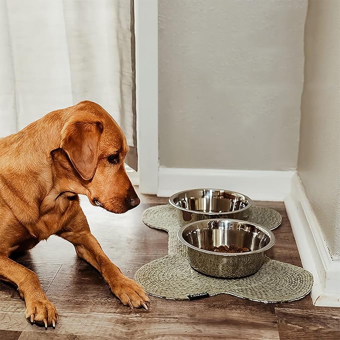 YINGFAN Dog Bowls 2 Pack Durable Heavy Duty Stainless Steel Dog Bowls Non-Slip Basic Bowl for Dogs with Rubber Base (Holds 7 Cups)