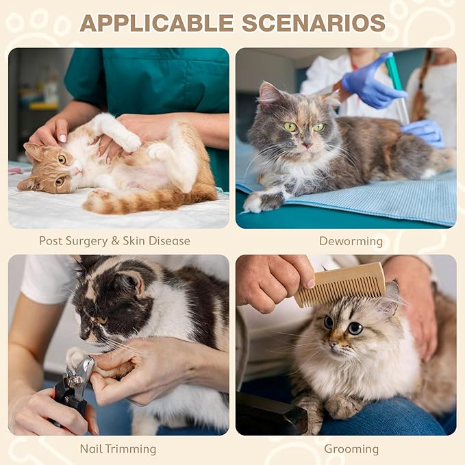 Avont Cat Cone Collar Soft to Stop Licking, Adjustable Foldable Lightweight Kitten Recovery Collar After Surgery for Small Dogs, Elizabeth Cone of Shame Alternative -Grape(M)