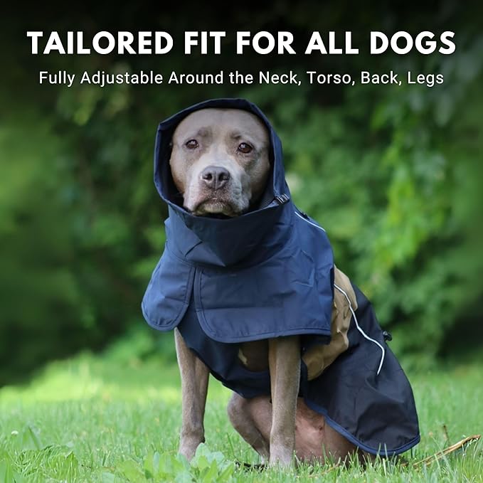 Spark Paws Dog Raincoat, Waterproof Windproof Rain Jacket, for Small Medium Large Extra Large Dogs, Reflective Breathable Full-Body Coverage Dry Suit - Blue Gold Black - M