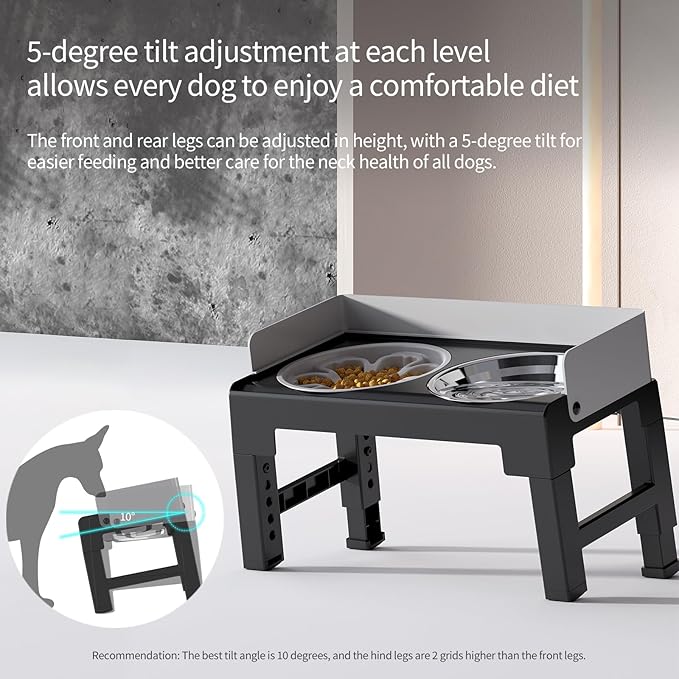 PAKEWAY Elevated Dog Bowls, Spill Proof, Tiltable Dog Feeder with 1 Stainless Steel Bowl &1 Slow Feeder Bowl, 6 Height Adjustable Raised Dog Bowls Stand for Medium Large Dogs