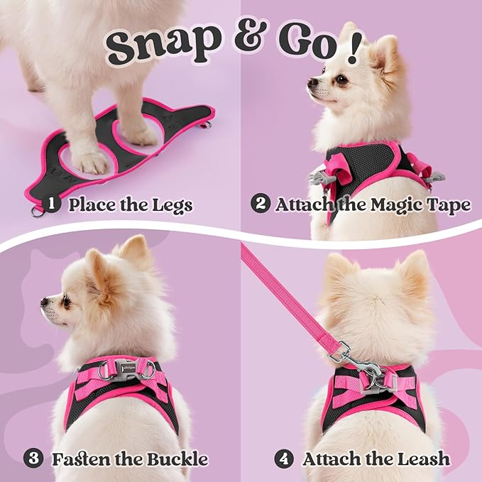 rabbitgoo Dog Harness Small Sized and Leash Set, Step-in Breathable Pet Harness, Soft Walking Reflective Puppy Vest for Small Dogs, Black & Rose Red, S