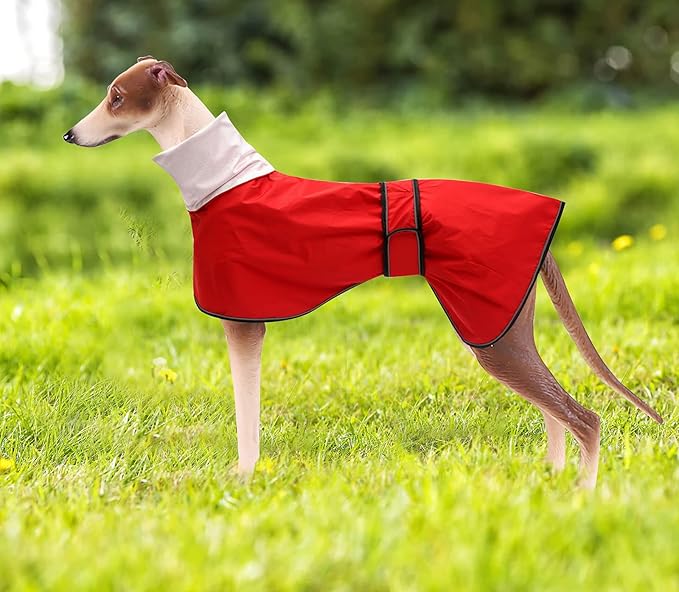 Dog Raincoat with Reflective Bar, Rain/Water Resistant, Adjustable Vest - Dog Raincoats for Greyhounds, Lurchers and Whippets - Red - M