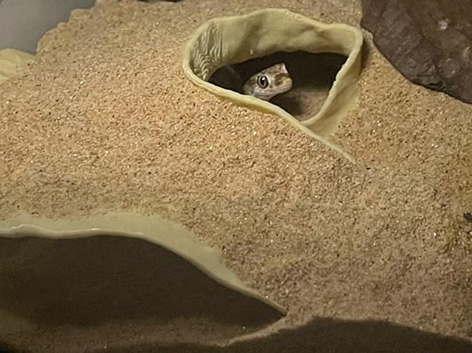 Reptile and Shrimp Hide Cave, 3D Printed Aquarium Decor for Bearded Dragon Snake, Fish Tank Accessories Terrarium Corner Shelter (White, one Size)