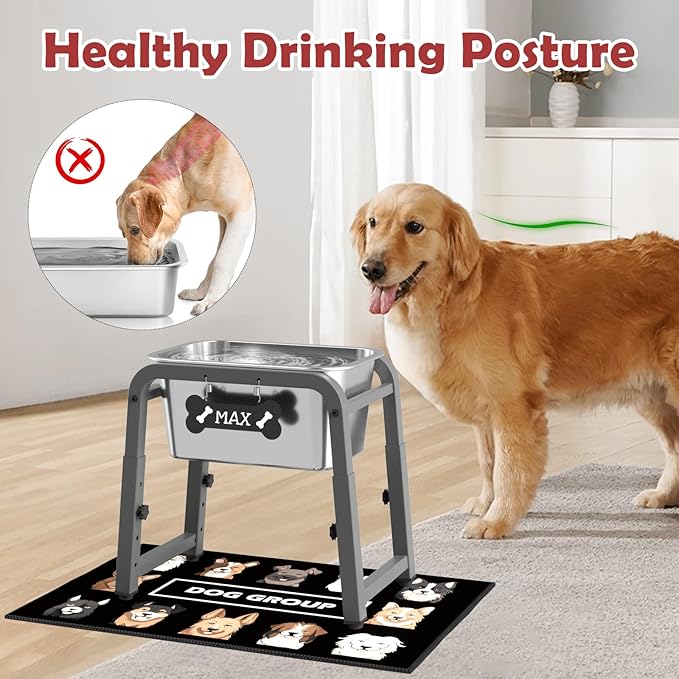 2.8 Gallon Elevated Dog Water Bowl, ADENGL Height Adjustable (10.4–15.2'') Raised Stainless Steel Bowl with Spill-Proof Mat & Sturdy Metal Stand, Tip-Proof, Easy to Clean, Indoor & Outdoor Use