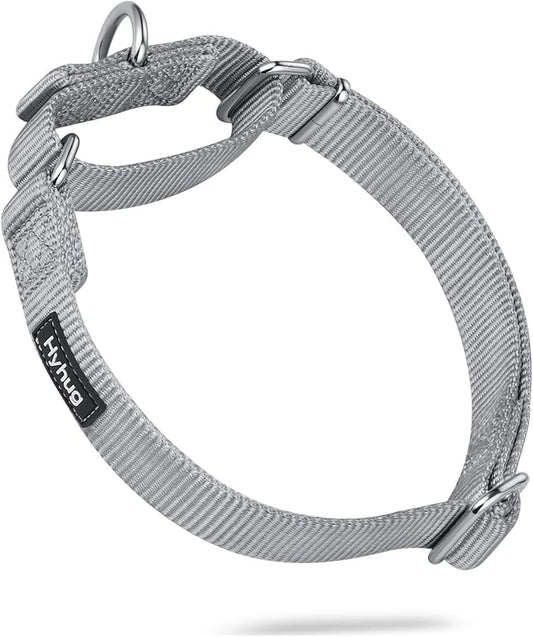 Hyhug Pets Premium Upgraded Heavy Duty Nylon Anti-Escape Medium Martingale Collar for Boy and Girl Dogs Comfy and Safe - Professional Training, Daily Use Walking. (Medium, Sleet Gray)