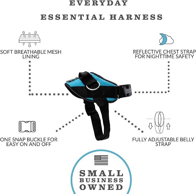 ShawnCo Essential Dog Harness, No-Pull Pet Vest with 3 Leash Clips, No Choke, Reflective, Adjustable and Padded, for Easy Walking and Training for Small, Medium and Large Dogs (Oceanic Blue, XL)