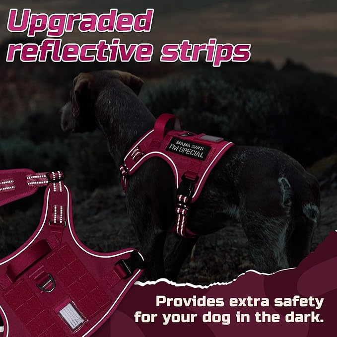 rabbitgoo Tactical Dog Harness for Large Dogs, No Pull Military Service Vest with Handle & Molle, Easy Control for Training Walking, Adjustable Reflective Straps, Rose Red, XL