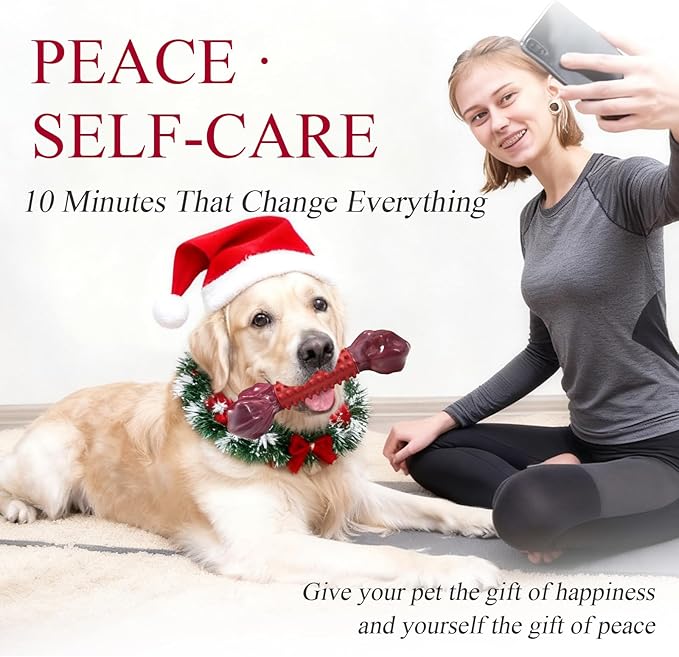 Apasiri Tough Dog Toys for Aggressive Chewers Beef Flavor: 8" Dog Chew Bone for Large Breed, Nylon & Rubber Chew Toy for Medium Large Dogs