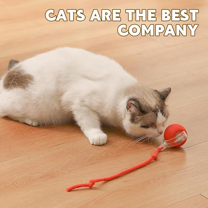 Chewie Viral 360 Smart Automatic Rolling Pet Ball (3 PCS) - Interactive Dog & Cat Toy