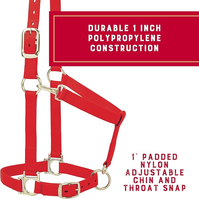 Weaver Leather Nylon Horse Halter, Padded and Adjustable, Chin and Throat Snap Hook Halters for Horses, Brass Plated Halters for Training