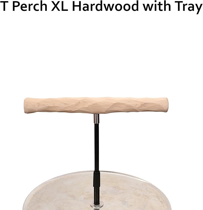 Parrot Training Perch Stand with Potty Tray (T Perch Hardwood, XL)