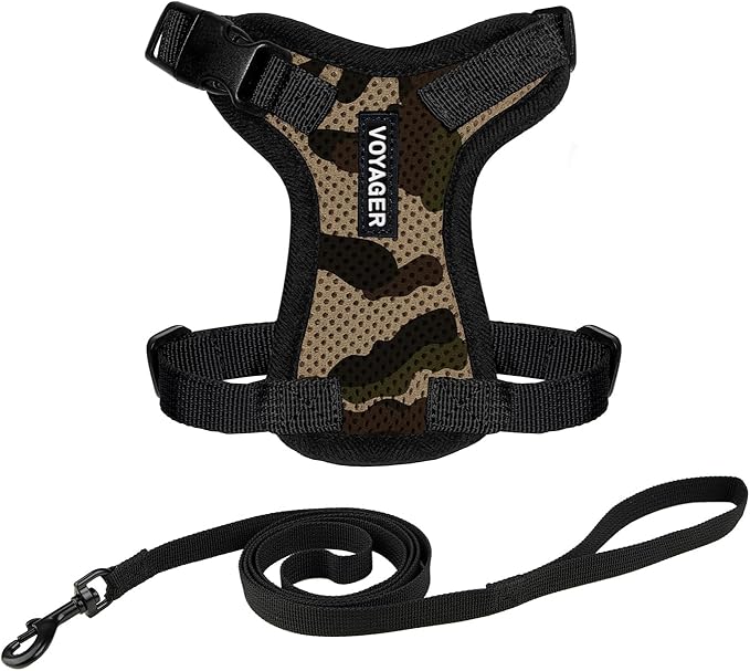 Voyager Step-in Lock Adjustable Cat Harness w. Cat Leash Combo Set with Neoprene Handle 5ft - Supports Small, Medium and Large Breed Cats by Best Pet Supplies - Army/Black Trim, XXXS