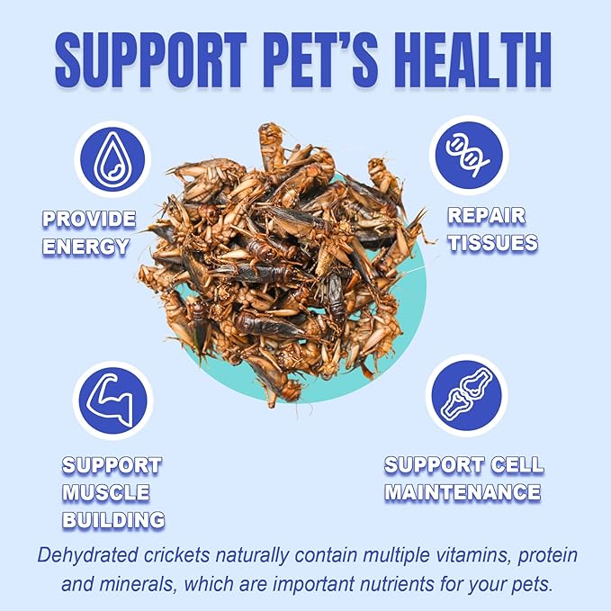 Amzey Appetizing Mealworms Natural Dried Crickets - Food for Bearded Dragons, Wild Birds, Chickens, Fish - (8 oz Resealable Bag) - Veterinary Certified
