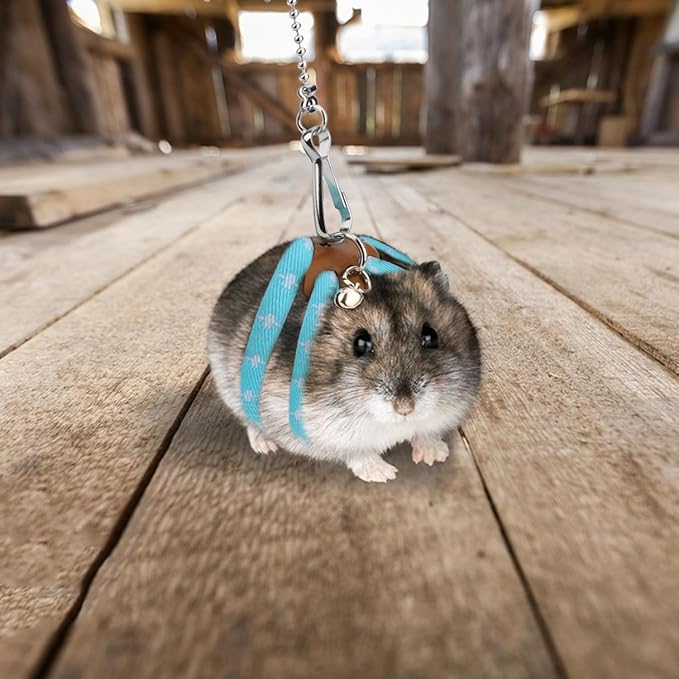 Hypeety Hamster Adjustable Training Lead Leash Nylon for Hamster Rat Squirrel Gerbil Pet Cage Playhouse Leashes Band Finder Collar Bell (Blue)