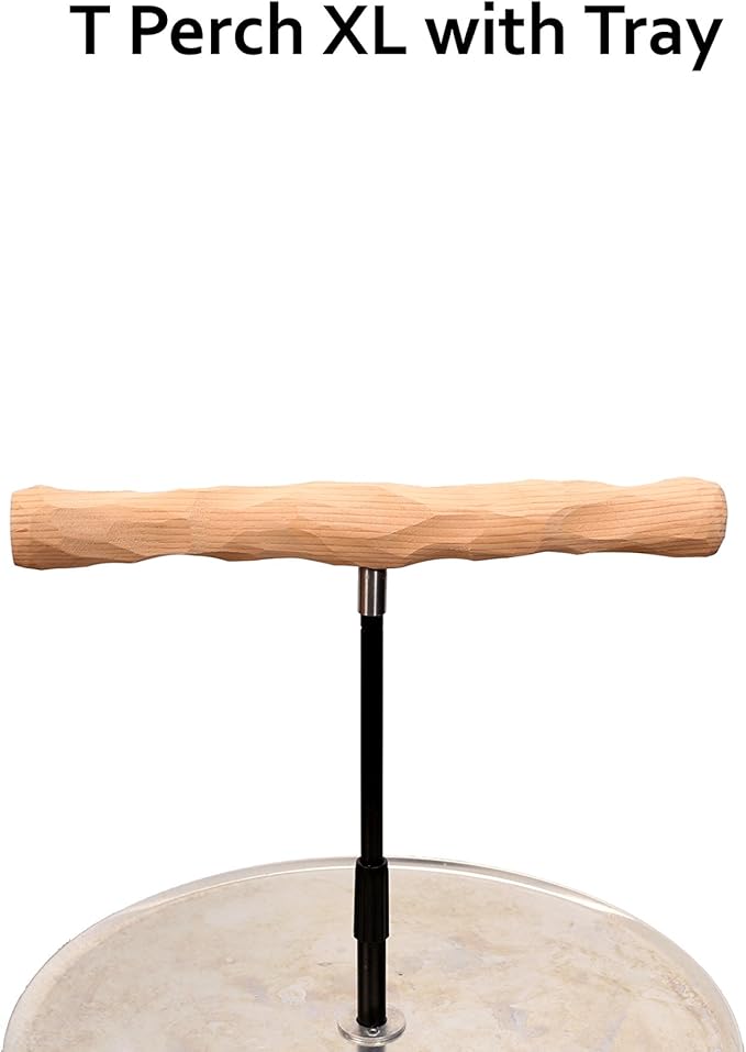 Parrot Training Perch Stand with Potty Tray (T Perch, XL)