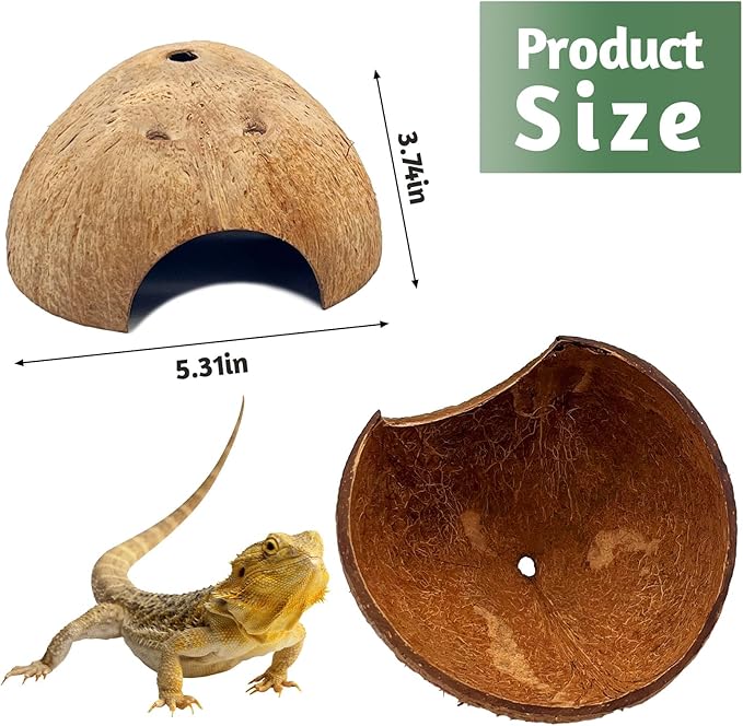 PINVNBY 6 PCS Natural Coconut Reptile Hideouts Lizard, Coco Hut Hermit Crab Hut Aquarium Fish Hide Cave for Small Reptile Crested Gecko Leopard Gecko Spider Snail Climber Toys