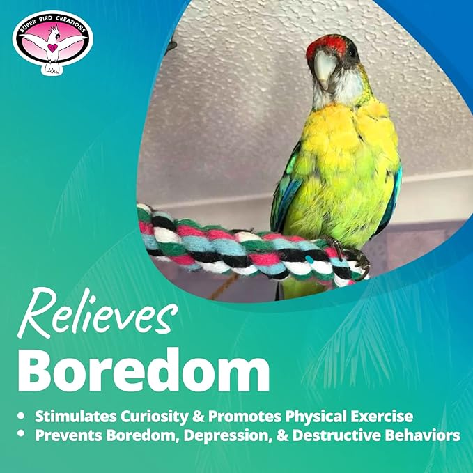 Super Bird Creations SB324 Colorful Cotton Rope Bungee Bird Toy, Medium Bird Size, 3/4" Diameter x 66"