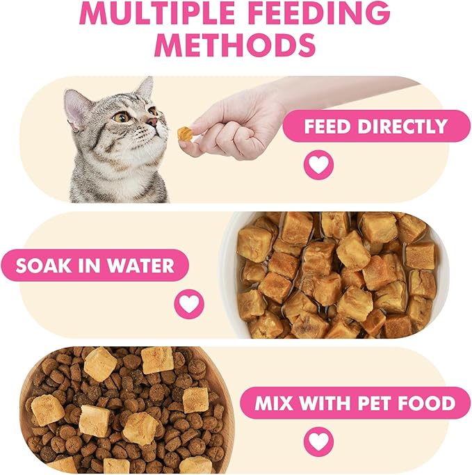 Freeze Dried Cats & Dogs Raw Treats, All Natural Single Ingredient Salmon, High Protein Healthy Pet Training Treats or Food Topper, 3.5 oz