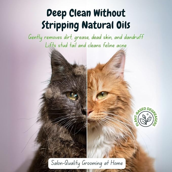 Petway Petcare Cat Shampoo, Natural Dandruff Shampoo, pH Balanced Cat Grooming Supplies with Plant-Derived Surfactant, Free of DEA, Phosphates, Parabens & Enzymes, Removes Dandruff, Oil & Dirt, 5 L