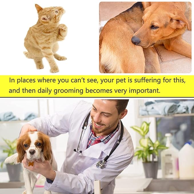 Flea and Lice Comb for Cats and Dogs - 2-in-1 Metal Round Smooth Teeth Pet Grooming Comb - Tear Stain and Mucus Crust Remover - Removes Floating Hair, Tangles, Dander (Green)