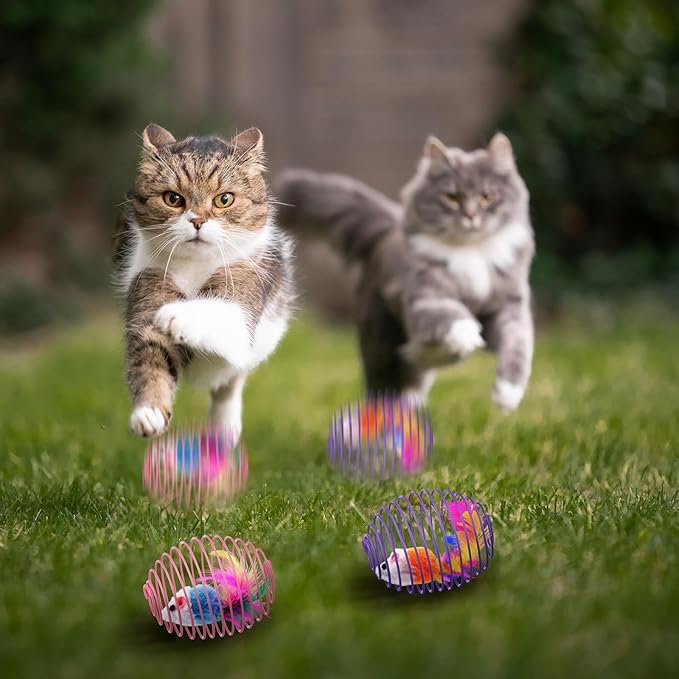 Jecery 5 Pcs Halloween Cat Spring Balls Toys Stretchable Rolling Balls Colorful Playful Coils Interactive Spring Action Toy Caged Rats for Kitten Cat Pet Supplies(Cute Mouse,Bright Color,5 Pcs)