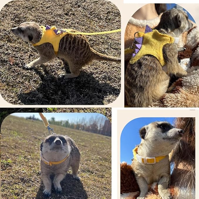 Ferret Harness and Leash Set Small Animals Vest Harness with Safe Bell Dinosaur Shaped Walking Clothes for Baby Rabbit Guinea Pig Teacup Chihuahua Mouse and Other Small pet (Yellow)