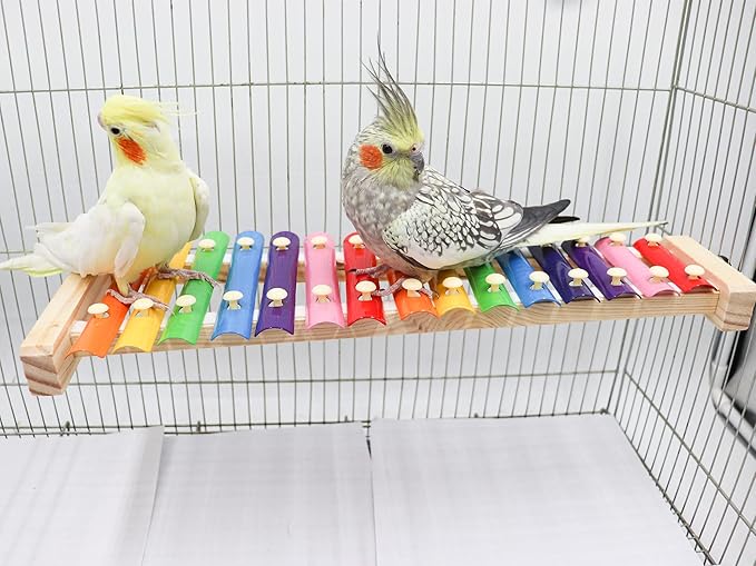 Dnoifne Colorful Bird Xylophone Toy, Funny Xylophone Toy with 16 Metal Keys, Cage Accessories for Chicken Chick Birds Parrots Parakeets Cockatiels Budgies Love Birds