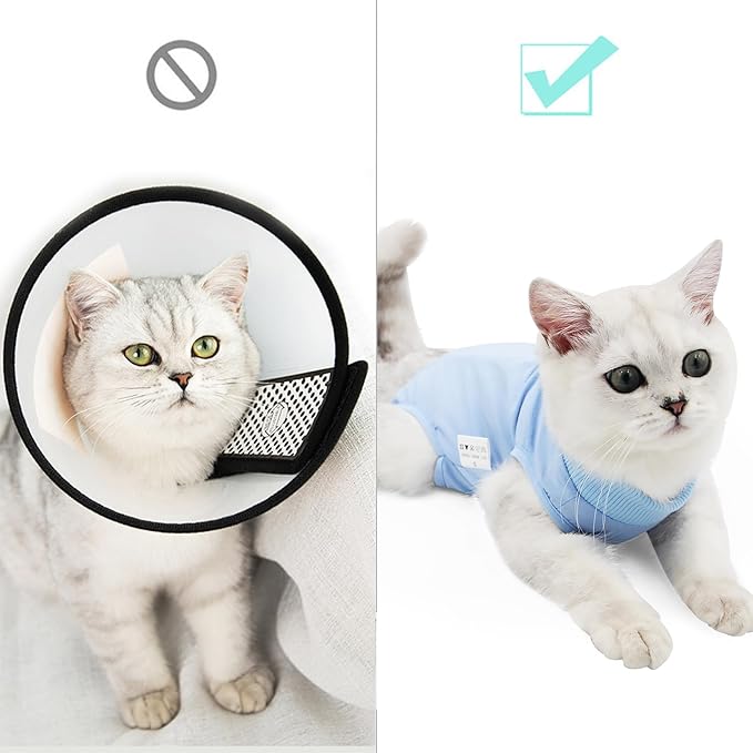 DOTON Cat Recovery Suit for Male and Female Surgical Post Surgery Soft Cone Onesie Shirt Clothes Neuter Licking Protective Diapers Outfit Cover Kitten Spay Collar(M, Blue)