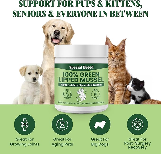 Green Lipped Mussel Powder for Dogs & Cats - 100% New Zealand Green Lipped Mussels - Natural Hip & Joint Supplement for Joints, Tendons, Ligaments, Muscles - 300 Grams - Up to 1,000 Servings