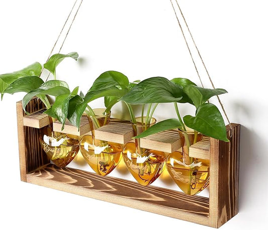 Plants Propagation Stations Plant Terrarium Kit for Bathroom Glass Planters for Indoor Plants Bathroom Decor Accessories - Relax Soak Unwind Breathe