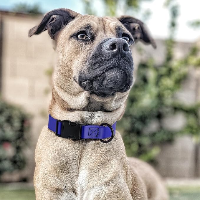 Dogline Biothane Waterproof Dog Collar with Quick Release Buckle Strong Coated Nylon Webbing with Odor- Proof for Easy Care Easy to Clean Fits Small Medium Large Dogs, Royal Blue 5/8" W 9-14" L