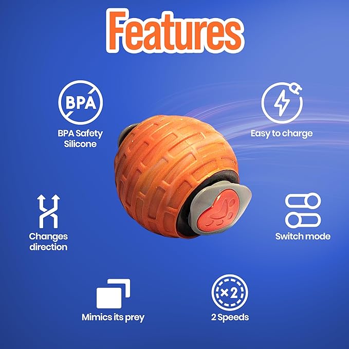 Motion Activated Self-Moving Cat Toy Ball – GlobalSun Speedy Tail 2.0 Automatic Rolling Ball Cat Toy with Mouse & Feather Tails, USB Rechargeable Interactive Toy for Indoor Cats