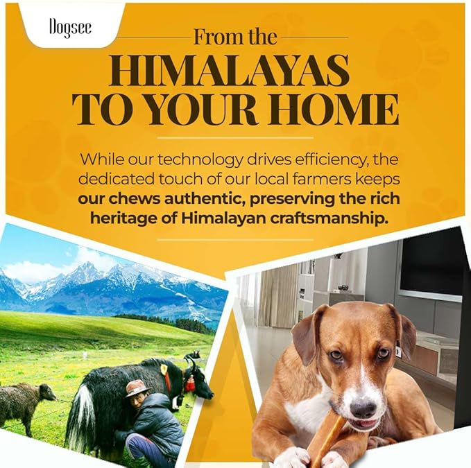 Dogsee Original Yak Cheese Himalayan Dog Chews 1lb (Medium - 6 Bars) | 100% All Natural | Dog Treats Medium Breed | Dog Chews Long Lasting for Aggressive Chewers | High Protein | Dental Sticks