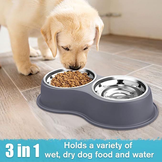 Dog Bowl Double Dog Water and Food Bowl Stainless Steel Bowls with Non-Slip Resin Station, Pet Feeder Bowls for Puppy Medium Dogs Cats