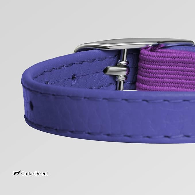 CollarDirect Leather Cat Collar, Kitten Collar with Removable Bell Black Blue Red Orange Lime Green (8-11 Inch, Purple)