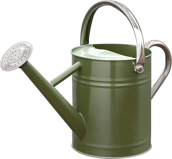Metal Watering Can, One Gallon Watering Cans Stainless Steel for Outdoor Indoor Garden Plants Watering (Emerald Green)