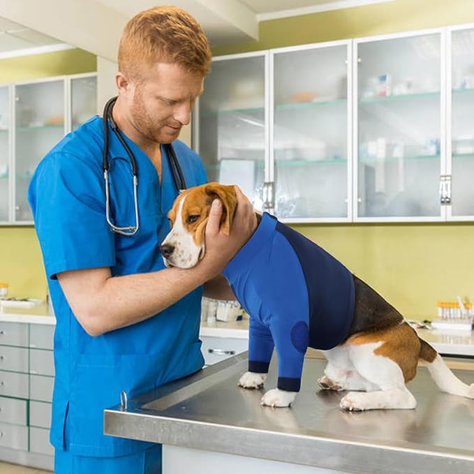 LeLePet Dog Recovery Suit for Front Legs, Dog Sleeve to Stop Licking, Elbow Protector for Leg Injuries Shoulder Wounds After Surgery Male Female,Zippered Long-Sleeved Shirt Cone Alternative(S-3XL)