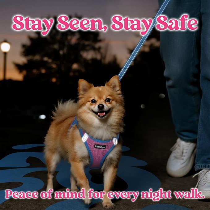 rabbitgoo Dog Harness Small Sized and Leash Set, Step-in Breathable Pet Harness, Soft Walking Reflective Puppy Vest for Small Dogs, Pink & Light Blue, L