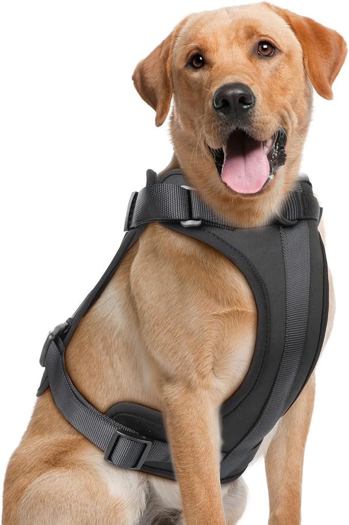 Wisedog No Pull Lightweight Dog Harness: Adjustable Breathable Mesh Pet Vest Harness with Soft & Comfortable Cushion, for Small Medium Large Dogs (Large, Black)