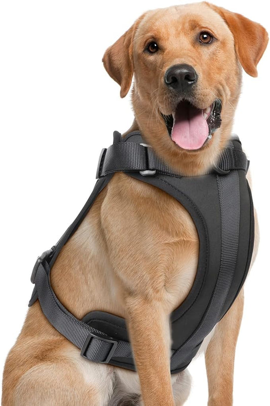 Wisedog No Pull Lightweight Dog Harness: Adjustable Breathable Mesh Pet Vest Harness with Soft & Comfortable Cushion, for Small Medium Large Dogs (Large, Black)