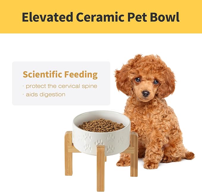 Elevated Ceramic Dog Bowls 2 Pack, 6.1" Individual Dog Bowl with 2 Fixed Height Stand, 3.5 Cup Food and Water Bowls for Small Dogs, Microwave Safe (Double Bowls + Double Stands - White, 6 inch)