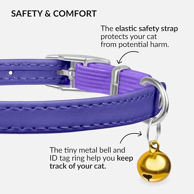 CollarDirect Leather Cat Collar with Bell - Kitten Collar, Small and Big Cat Strap for Boy Cats, Girl Cats with Safety Elastic Strap (Neck Fit 6"-7", Purple)