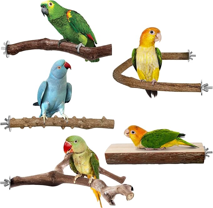 Bird Perches, 5pcs Natural Wood Birds Stand Branch, Bird Perch Chewing Stick Cage Accessories Parrot Climbing Standing Branches Paw Grinding Fork Sets for Cockatiels Ringneck Parrots